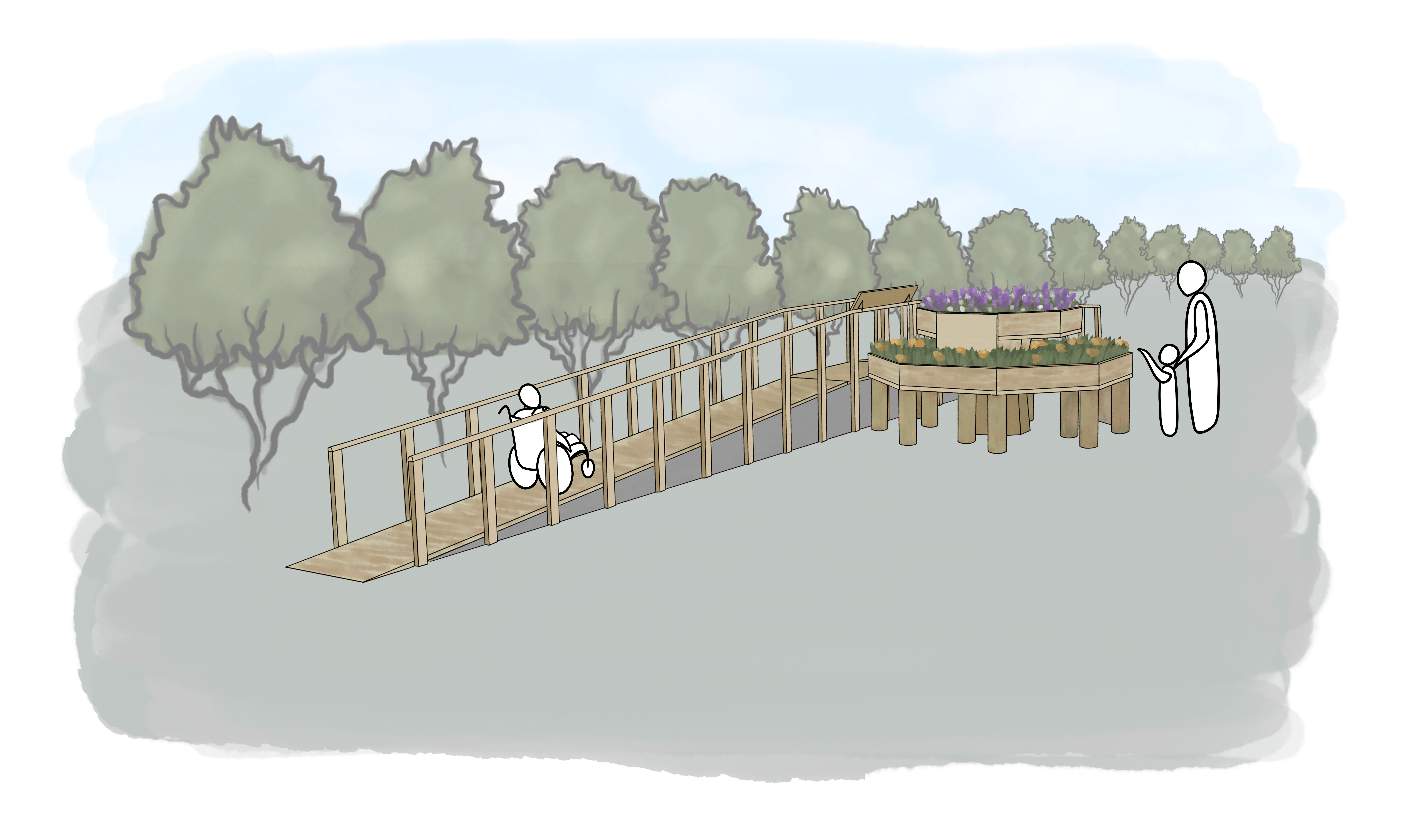 Drawing of native tree museum concept.